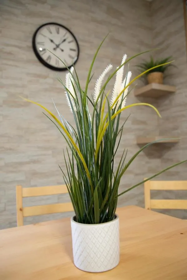 Iris Opera Ortigia Apartment Syracuse